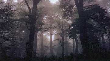 cani3.jpg (10423 bytes)