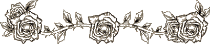 rose_bor2.gif (6100 bytes)